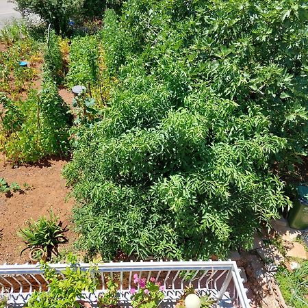 Apartmani Toni Водице Экстерьер фото